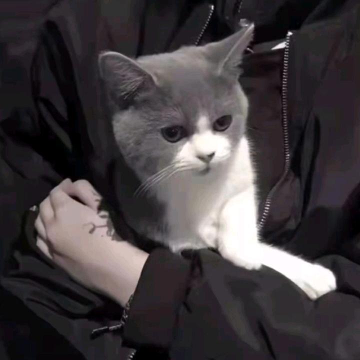《三々月》
