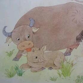有趣的灵魂