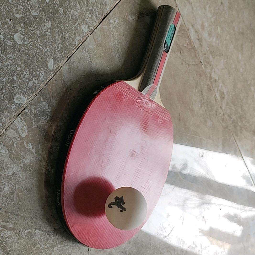 爱乒乓的武
