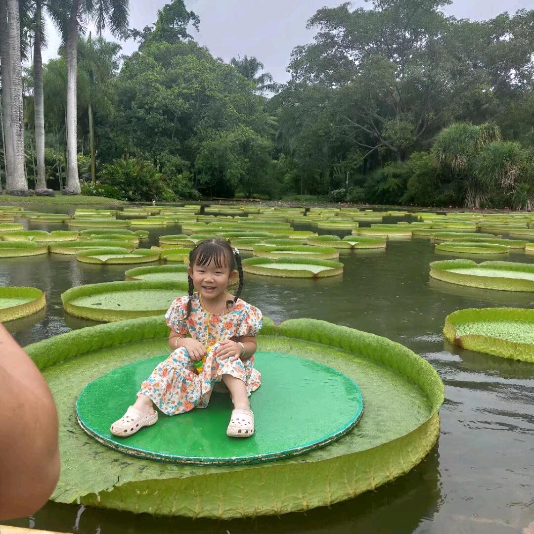 子晴