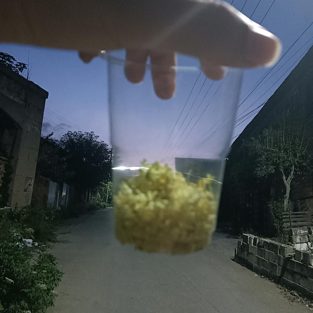 九九艳阳