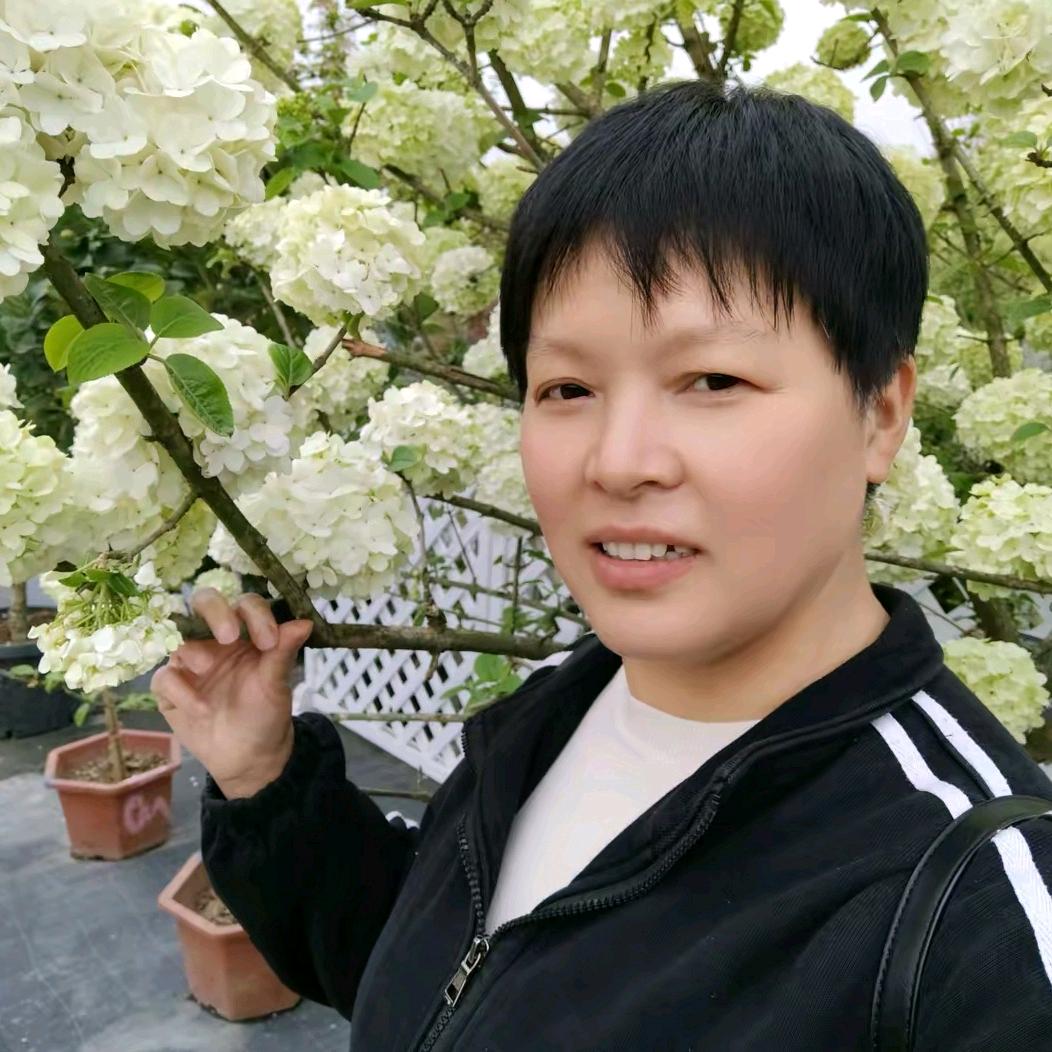 汐汐奶奶