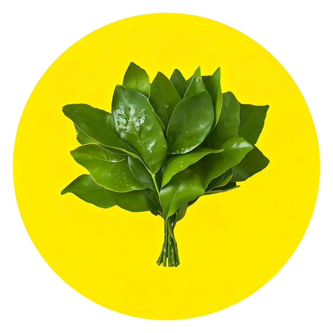 冷淡的鱼难哄的驴