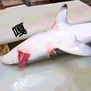 起风~