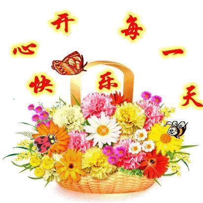 老马