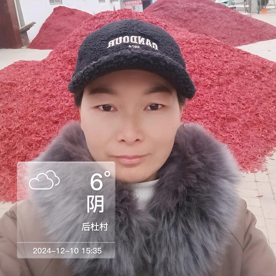 红太阳辣椒收购场刘金芳