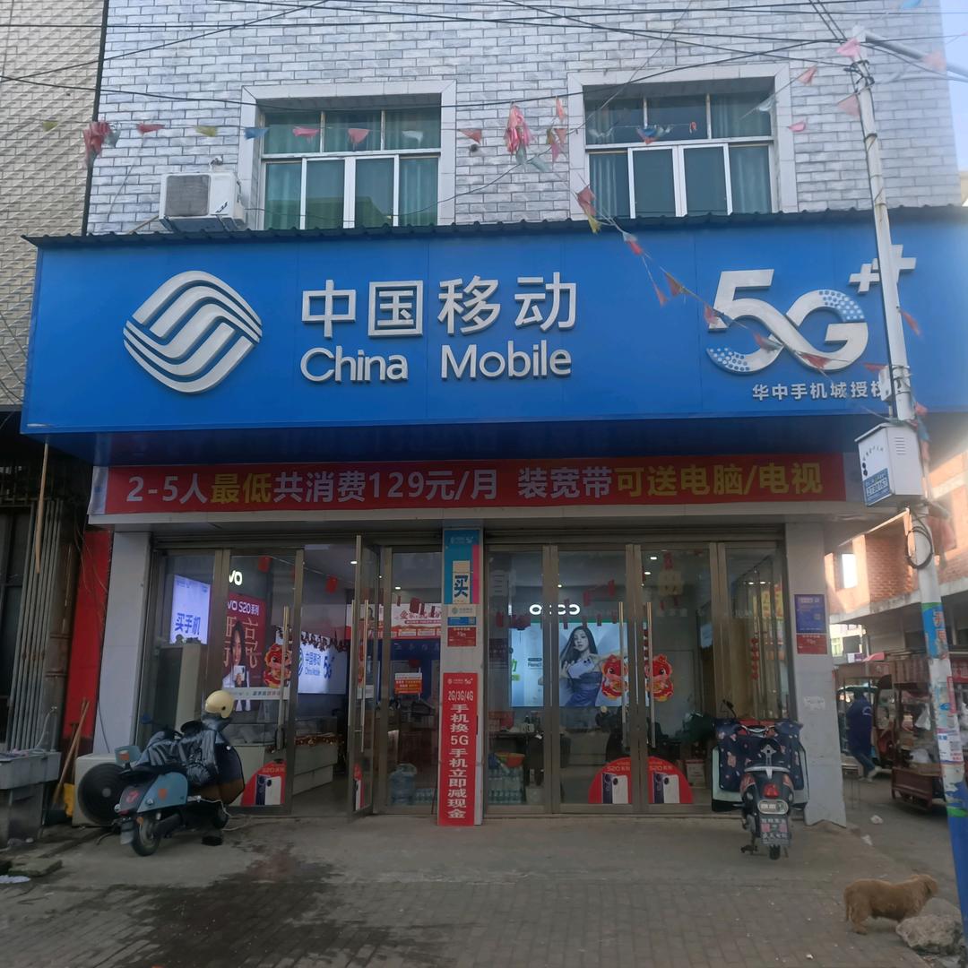 洪家嘴华中手机城