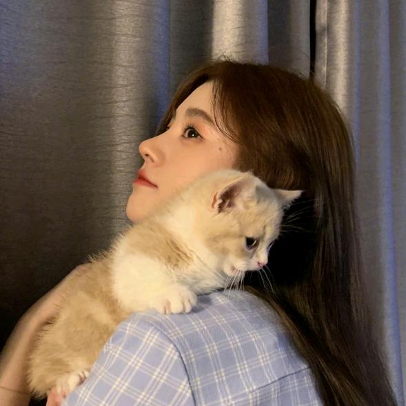 爱分享的小刘（盛世天下版）