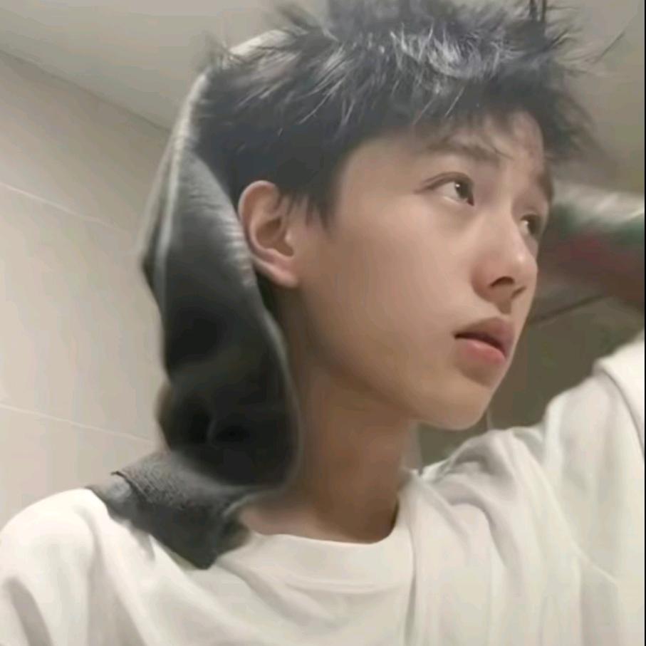 养一只小狗.