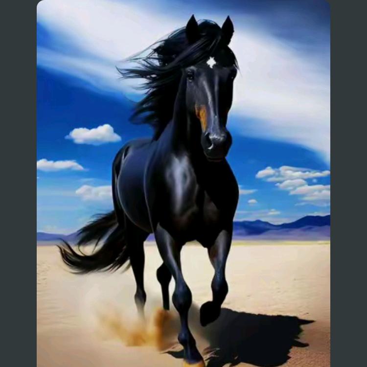 ꧁༺一如༒༻当初꧂