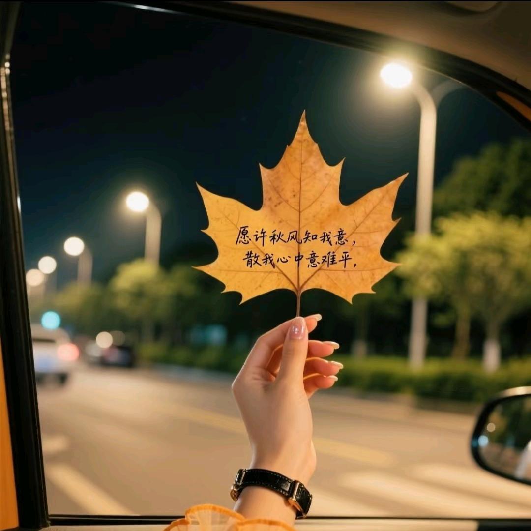 ꧁姐是独一份꧂🌹🌹🌹