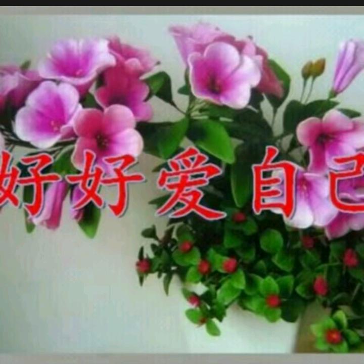 ☀忘掉悲伤☀