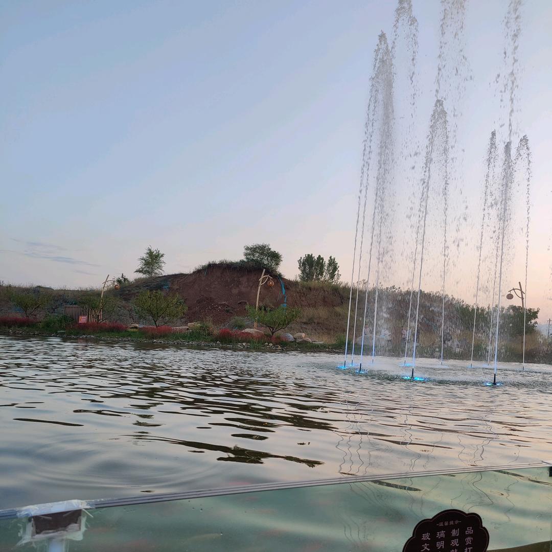 带刺的蔷薇（英）