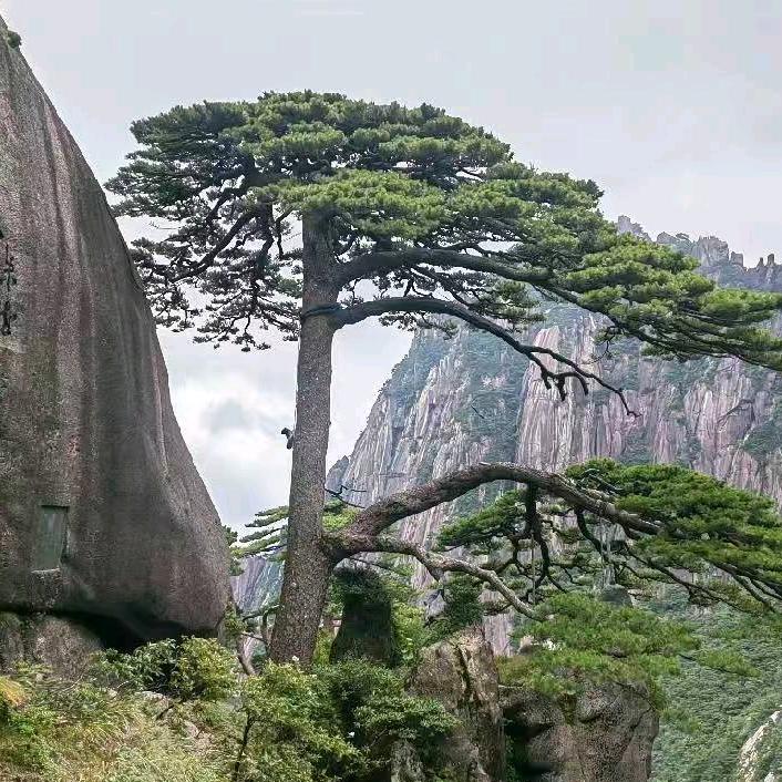 回不去的从前