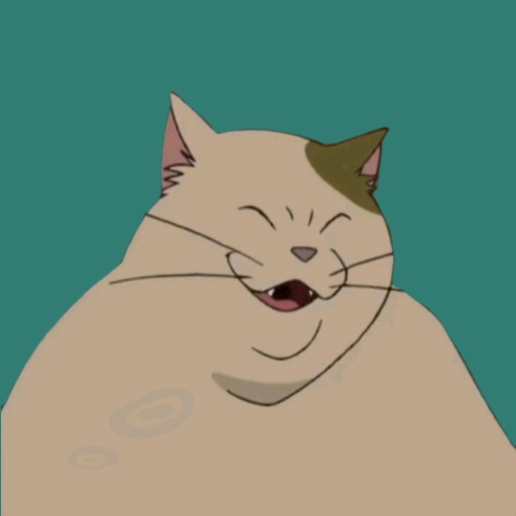 猫老大魔法披风