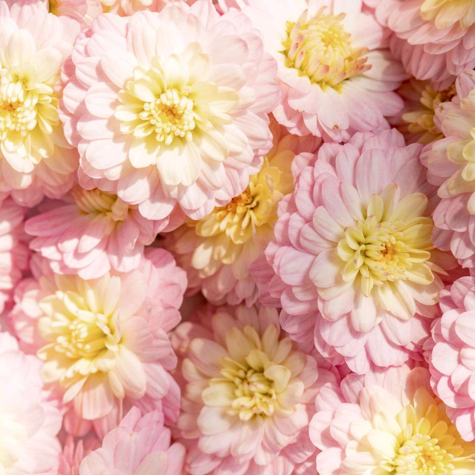 沐妍·宋锦手作