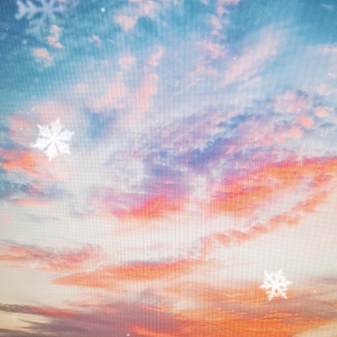 顾阳