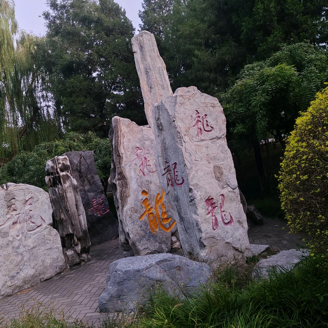 过好每一天