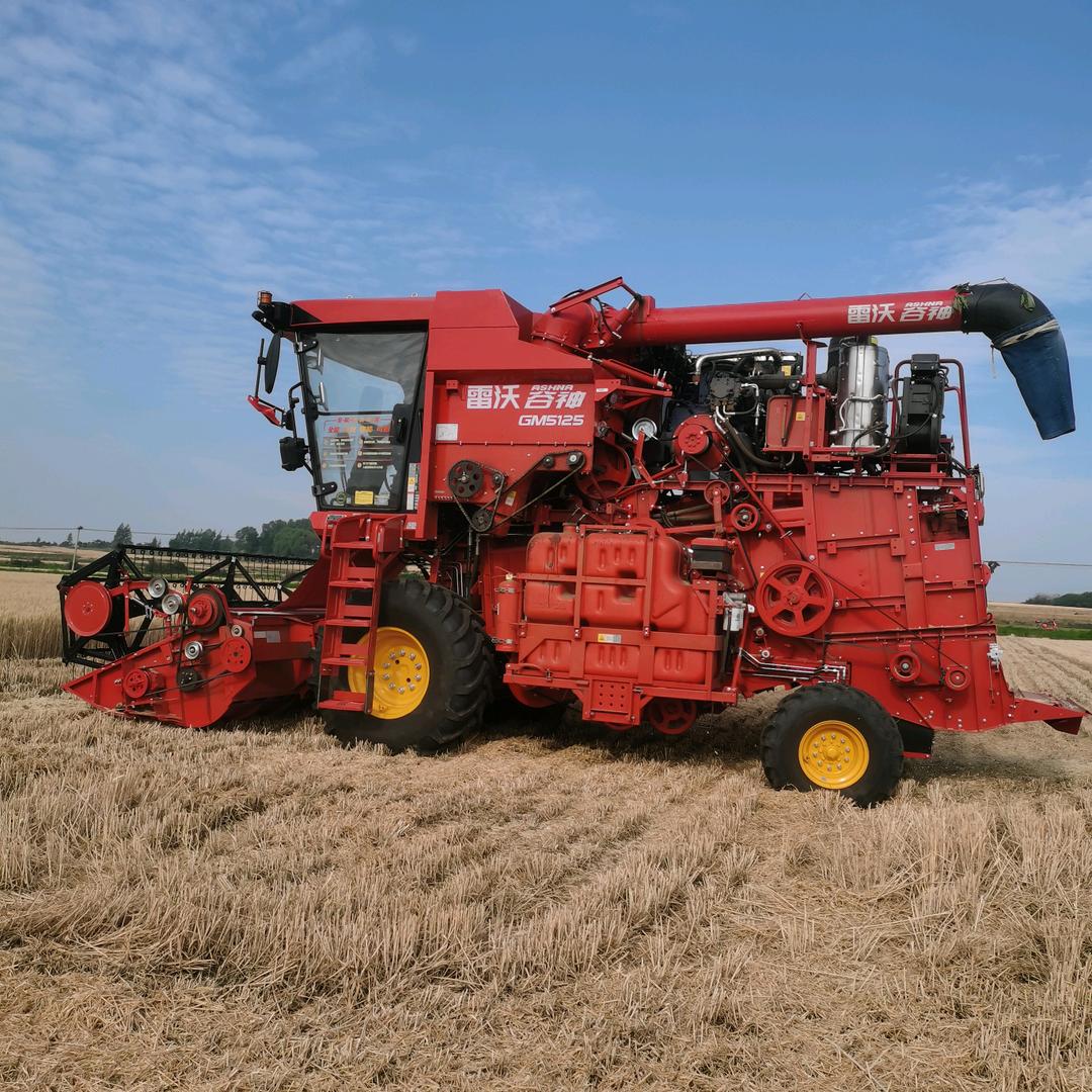 小麦  玉米收割