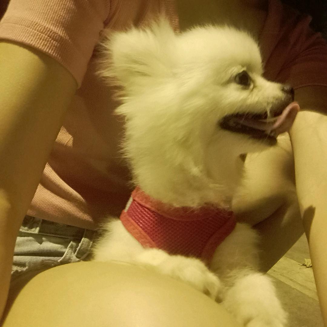 我是大爷