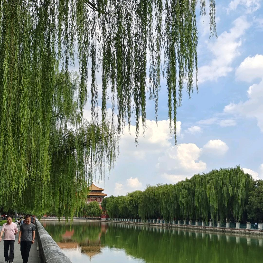 沙漠之洲✰ 🍎◌日常随拍