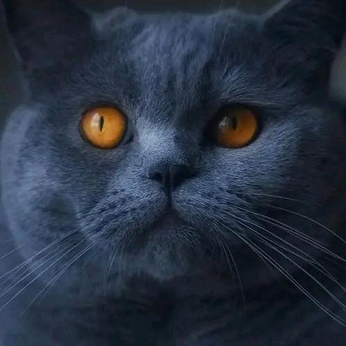 赶路人