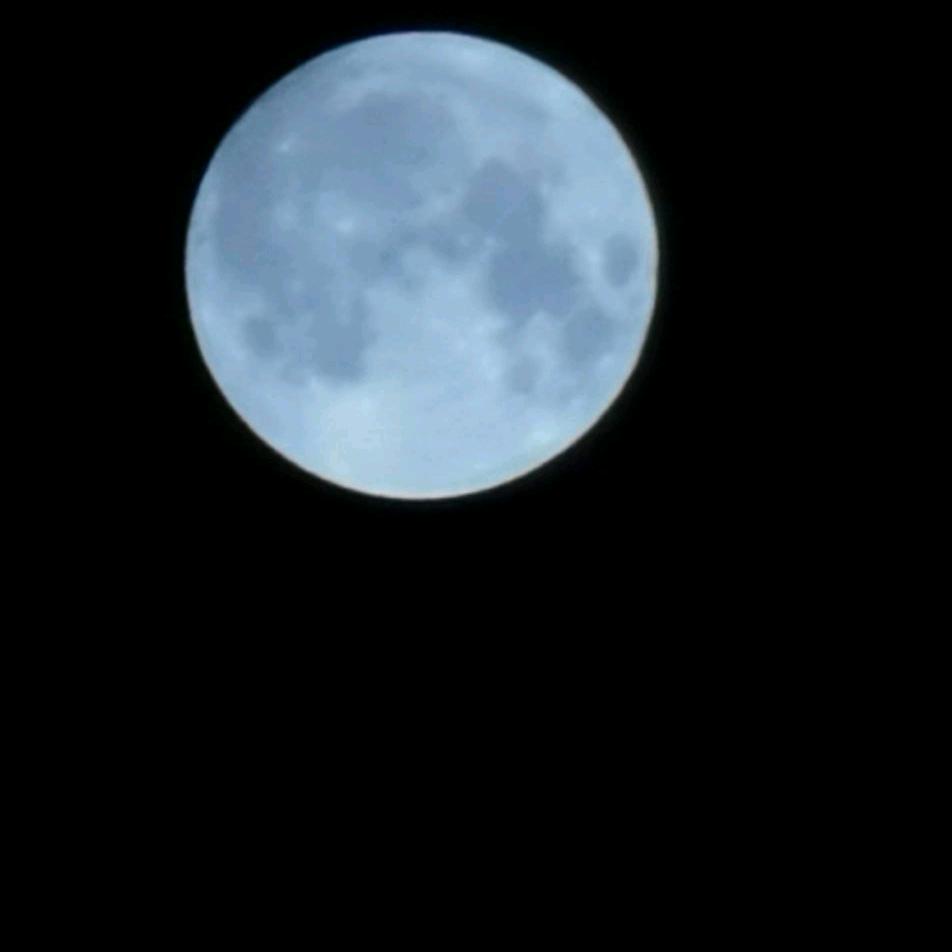 7，七，柒
