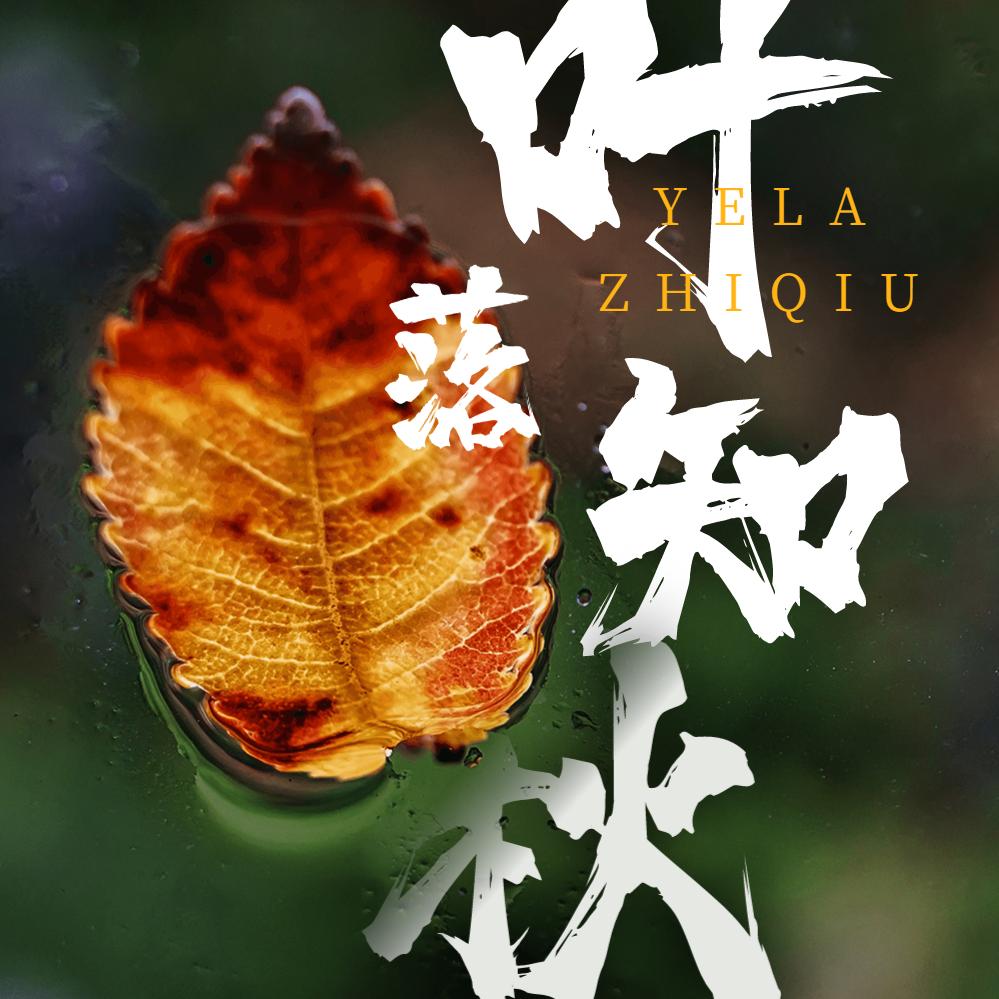 叶落知秋