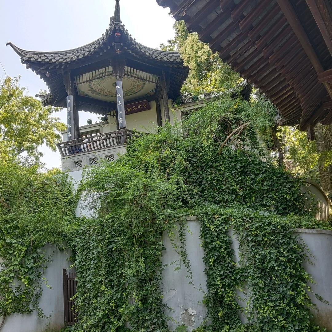 魂十天阶
