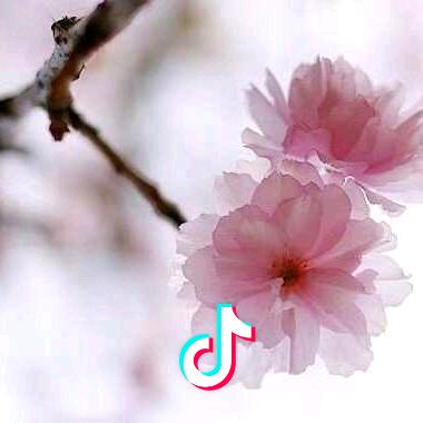 惜    懓