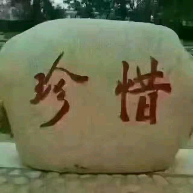 ↑芥芥