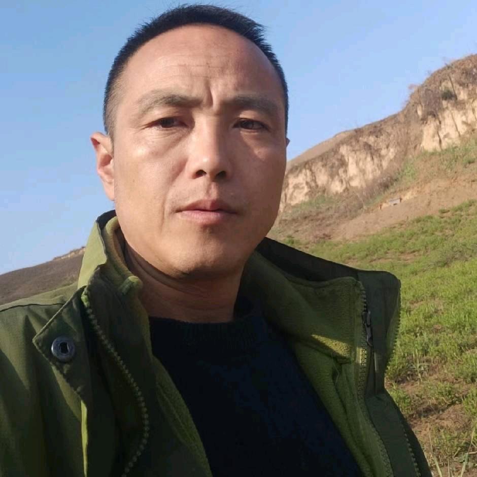 子洲黄芩哥