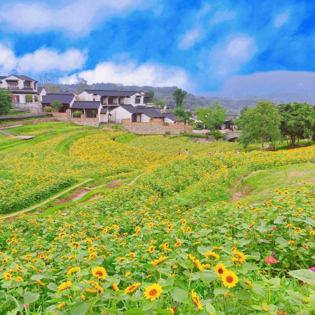 ☘️🌾陌上🍀🌻