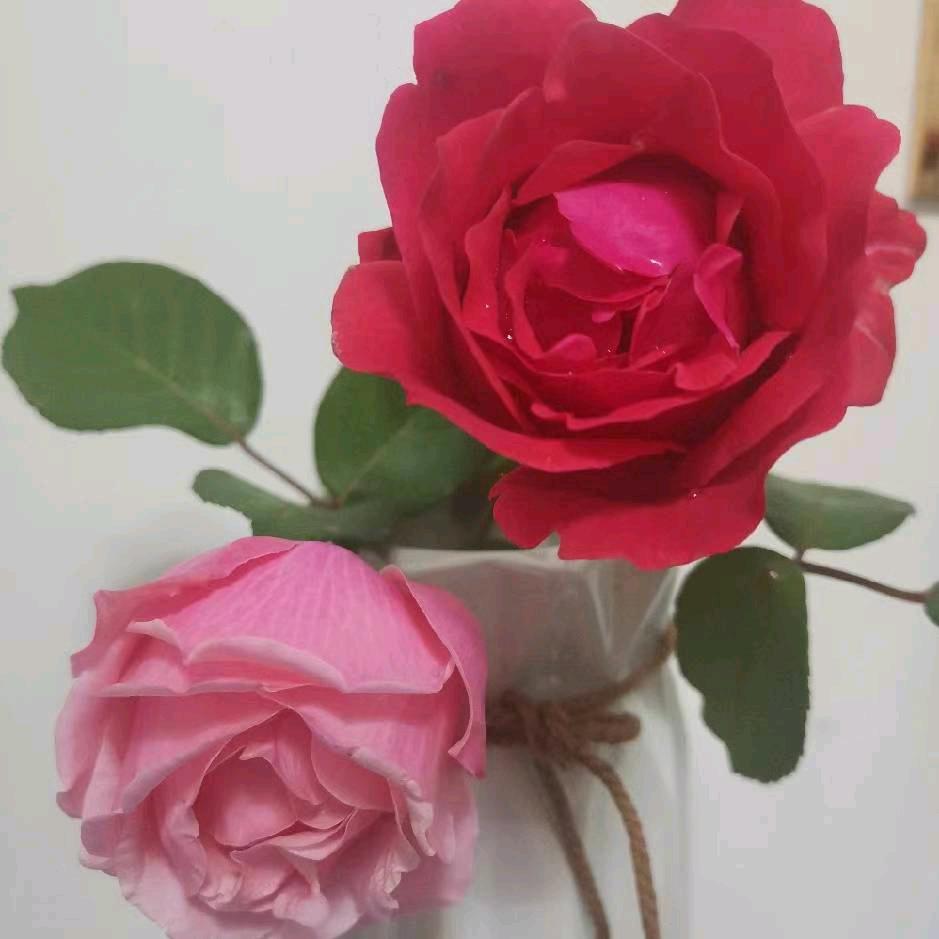 博博～石膏线～钛金条 ～白钢～楼梯～护栏