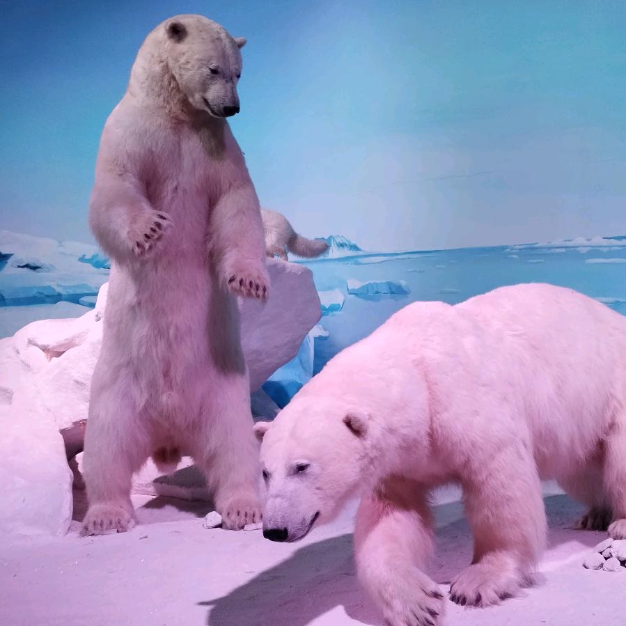 家人平安，身体健康是我最大的快乐