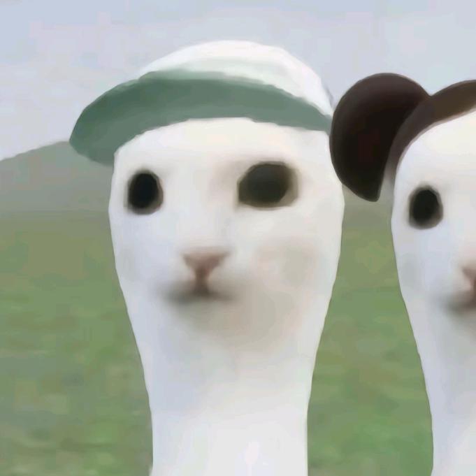 求佛529
