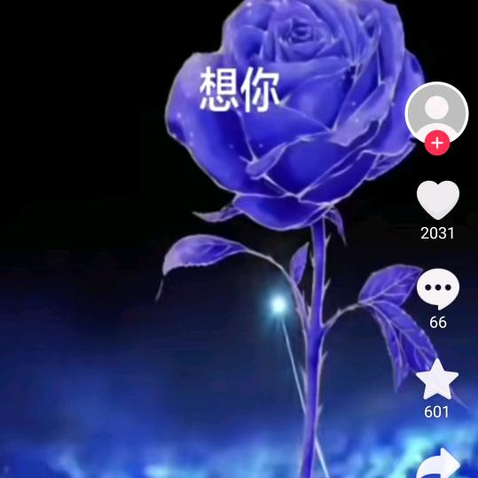英2头像