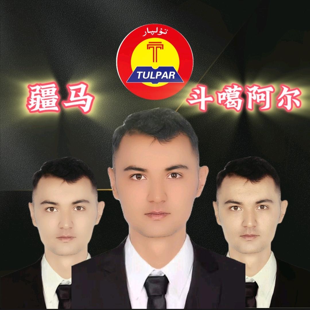 疆马电动车