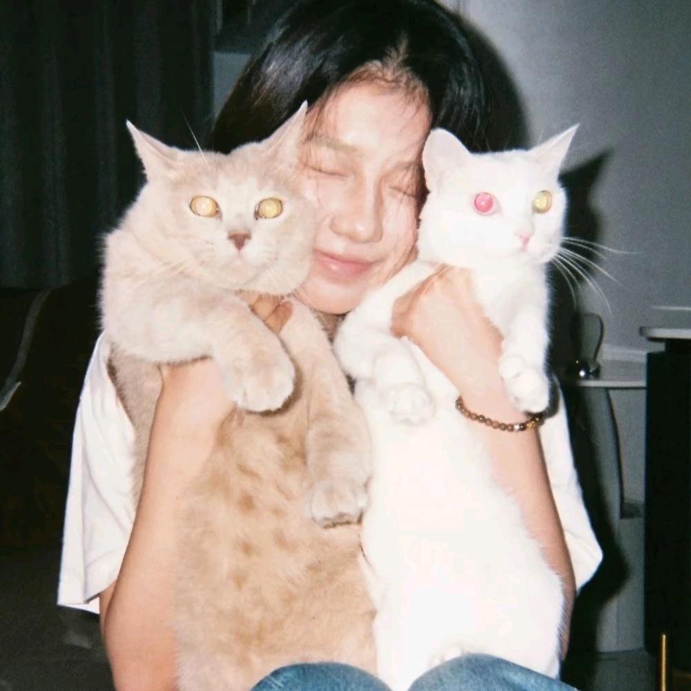 家里有猫了.