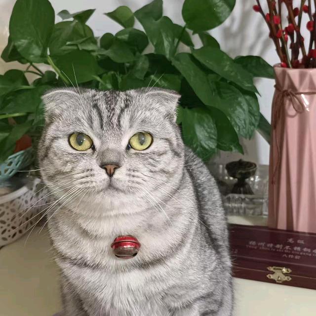 轩♪宝儿
