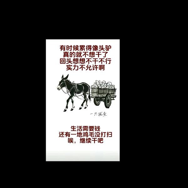努力感动运气（胖哥）