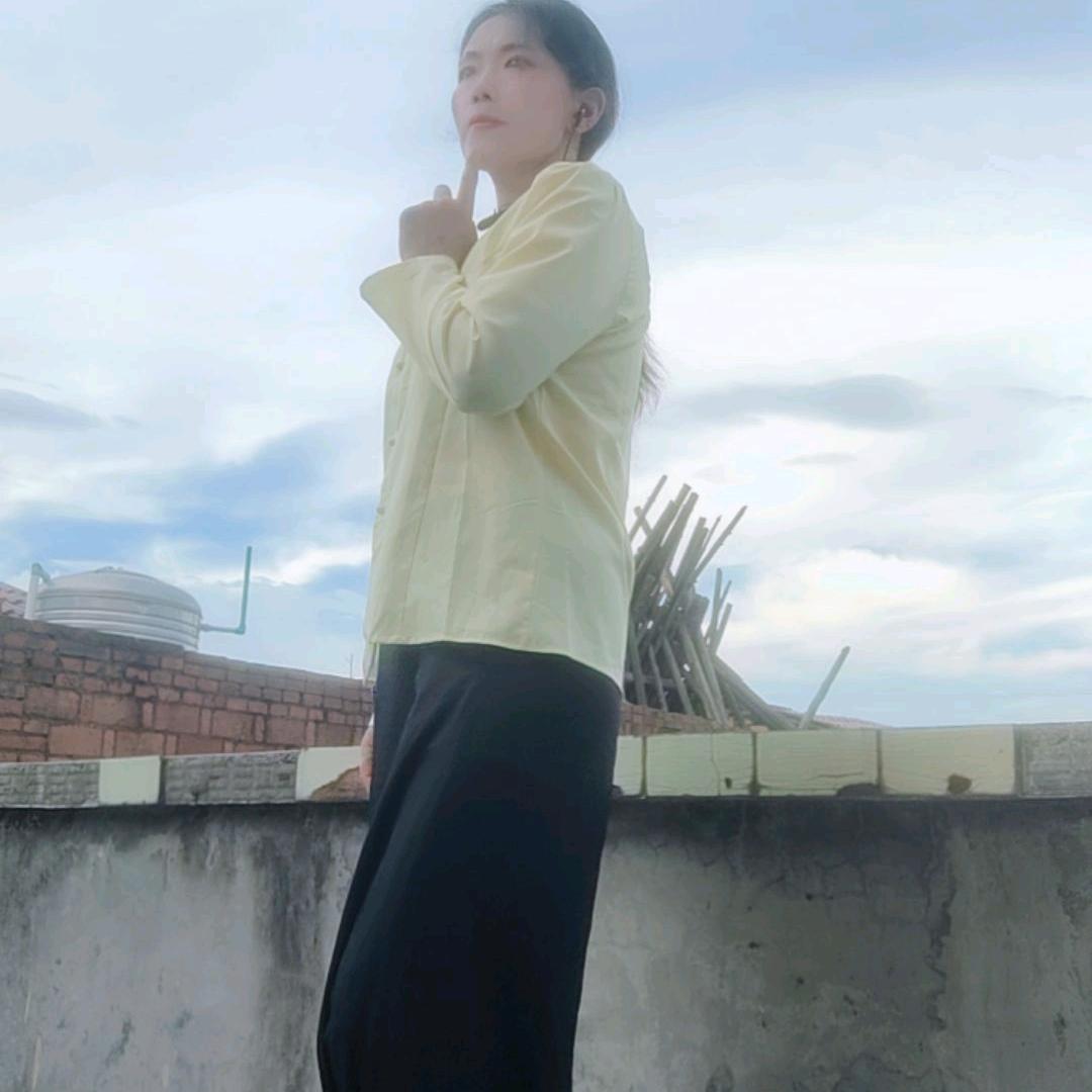 南方飞来的孤雁