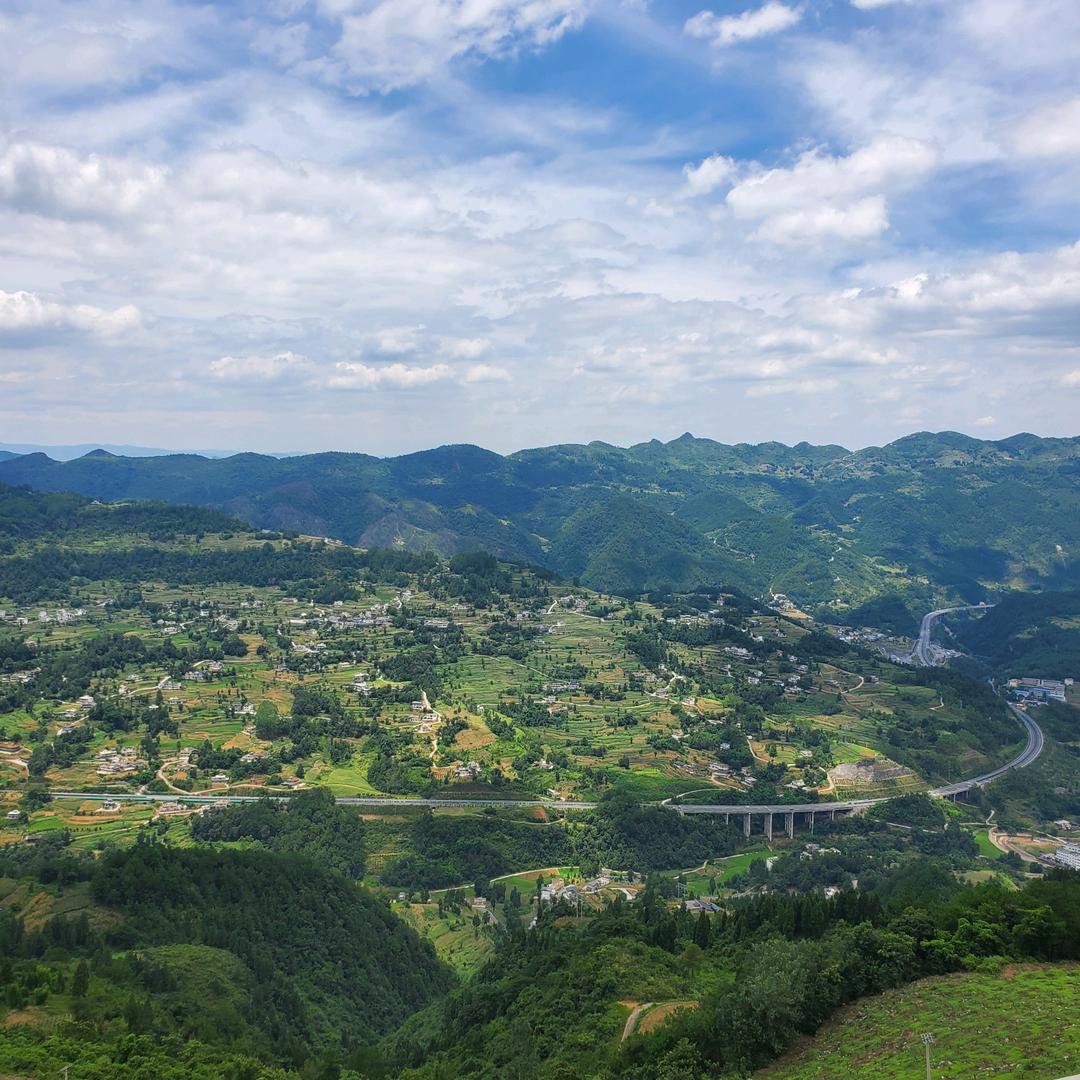 闲大叔(小)