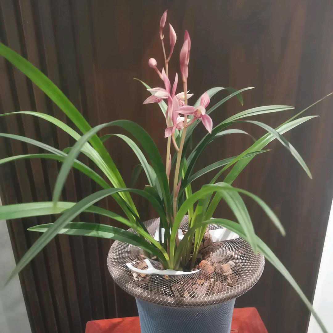 菏泽志诚兰苑