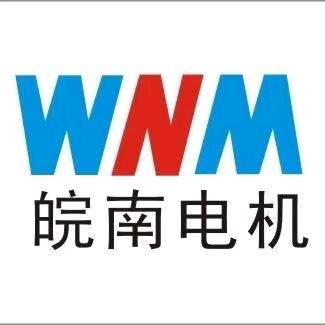 郑州皖南电机有限公司