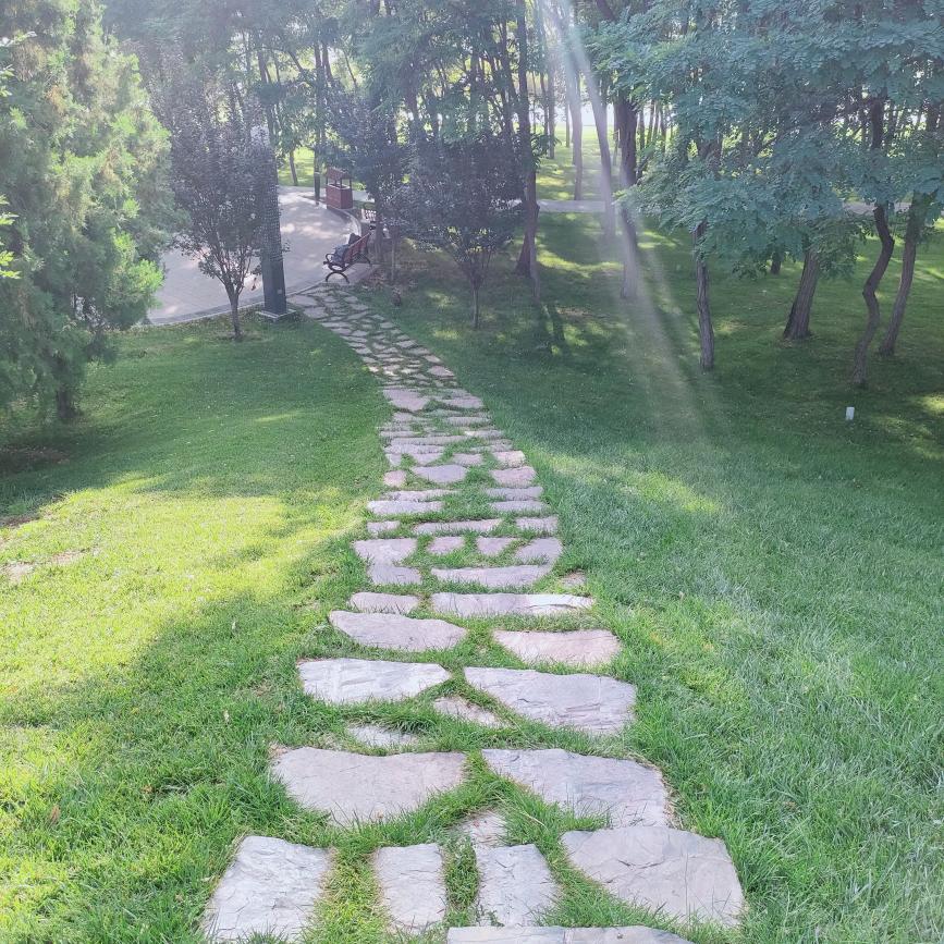 🌹🌹东方美业