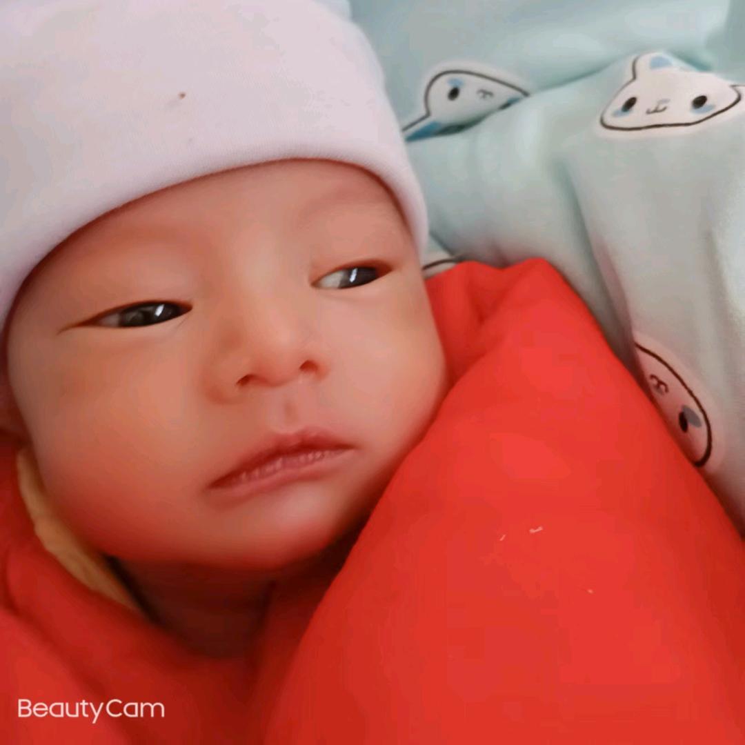 快乐逍遥