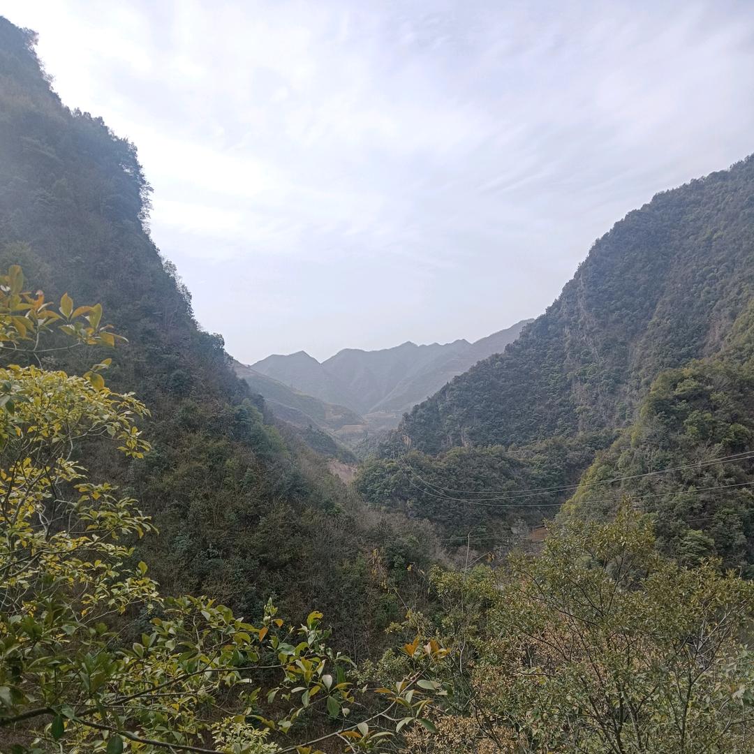 优品阁百货