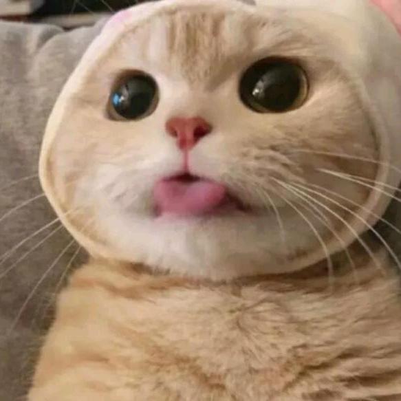 户外好物分享478