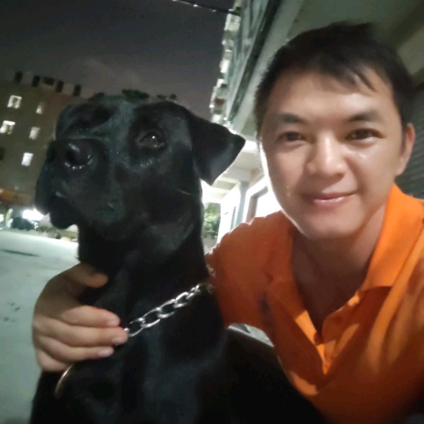 夜幕下的倾听者